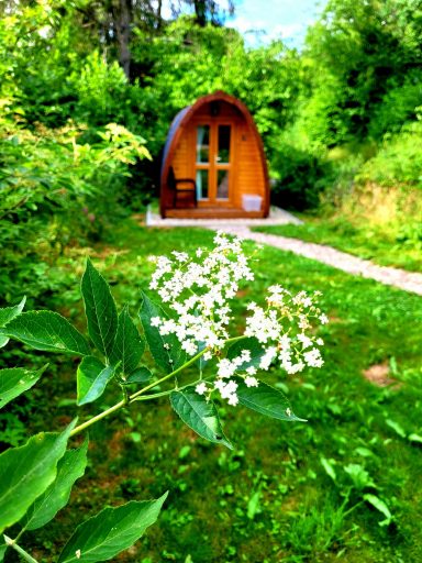 Tinyhouse, Pod für bis zu 2 Personen in der Nationalparkregion Hunsrück-Hochwald, Nähe Idar-Oberstein, Birkenfeld, Bostalsee, Erbeskopf